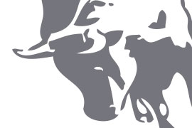 LA PRENSA EN 7 TARDES. FERIA DE MURCIA 2012